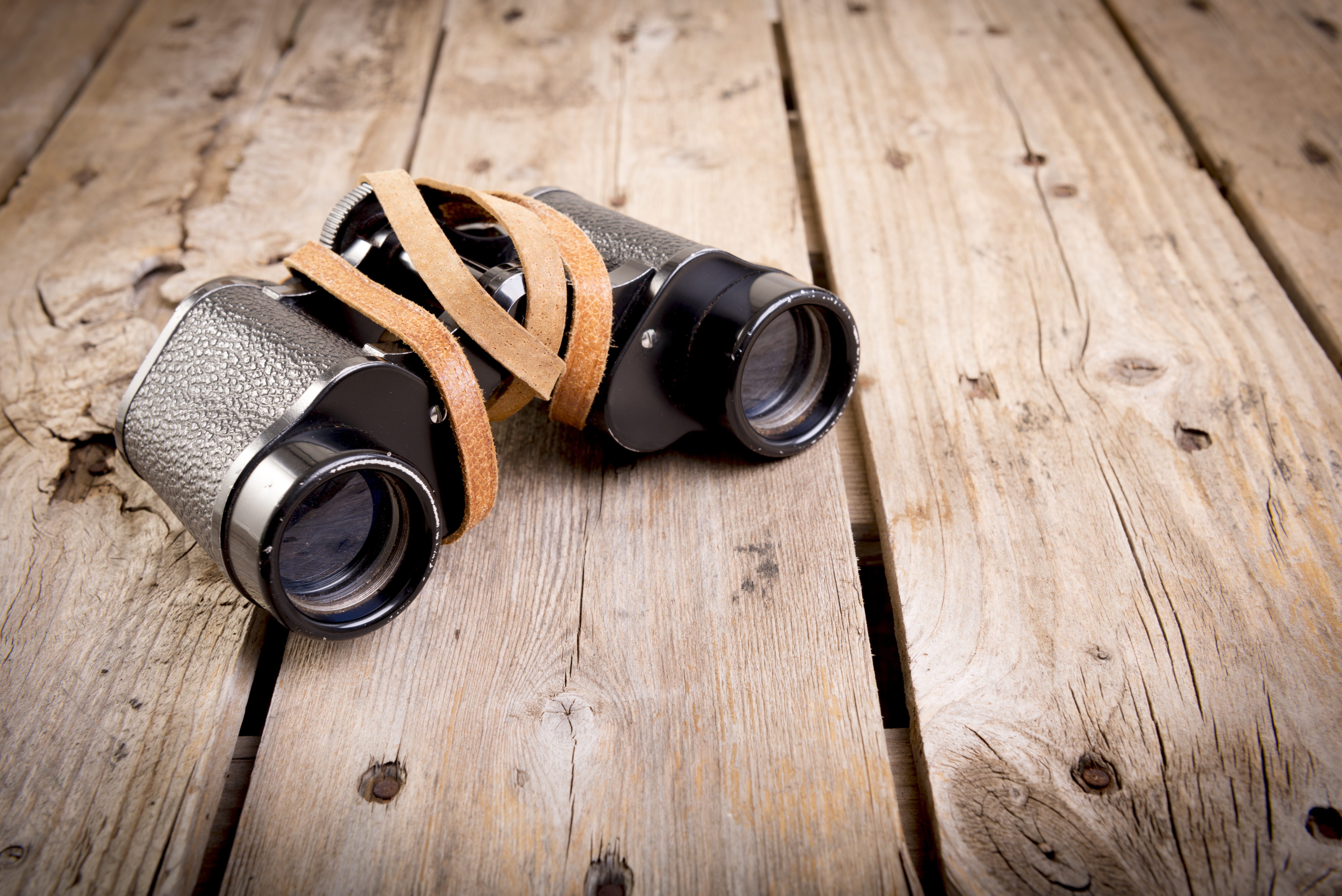 adobestock_63910844.jpeg