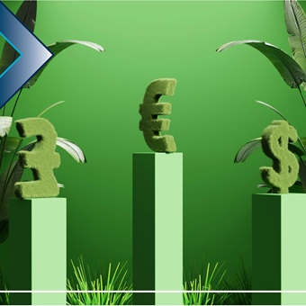 reshaping the fixed income market by allowing people to invest with a social and environmental purpose