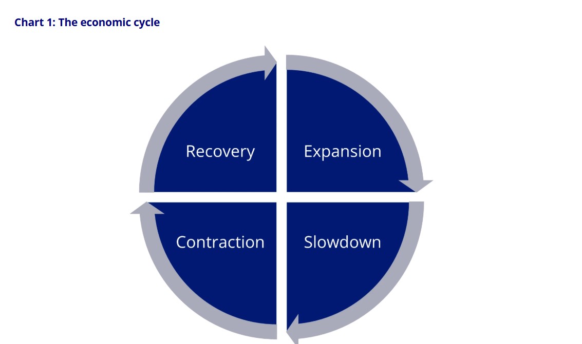 The Ecopnomic cycle graph 1